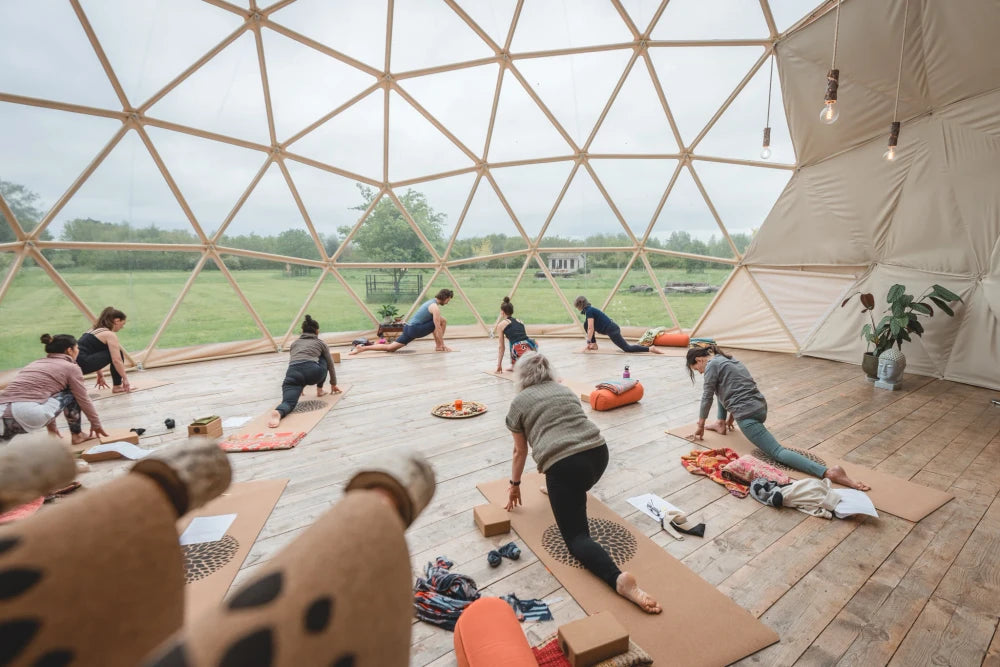 Geodesic Dome Tent for Glamping Resort